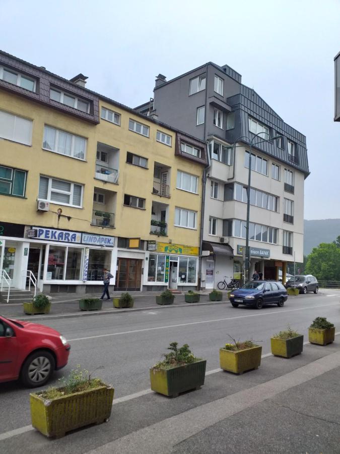 Trosoban Apartman Sarajevo, Ilidza Centar Екстер'єр фото
