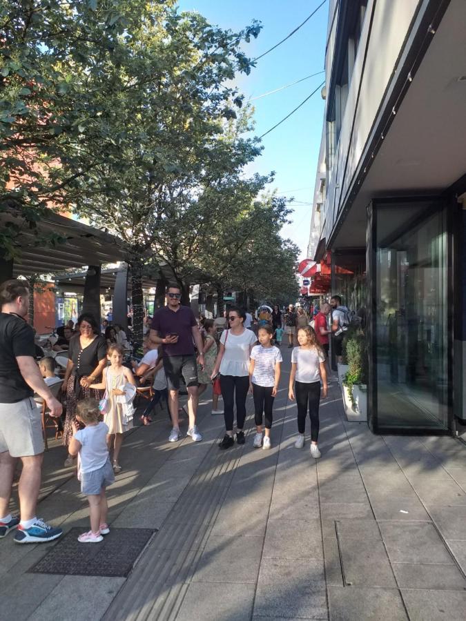 Trosoban Apartman Sarajevo, Ilidza Centar Екстер'єр фото