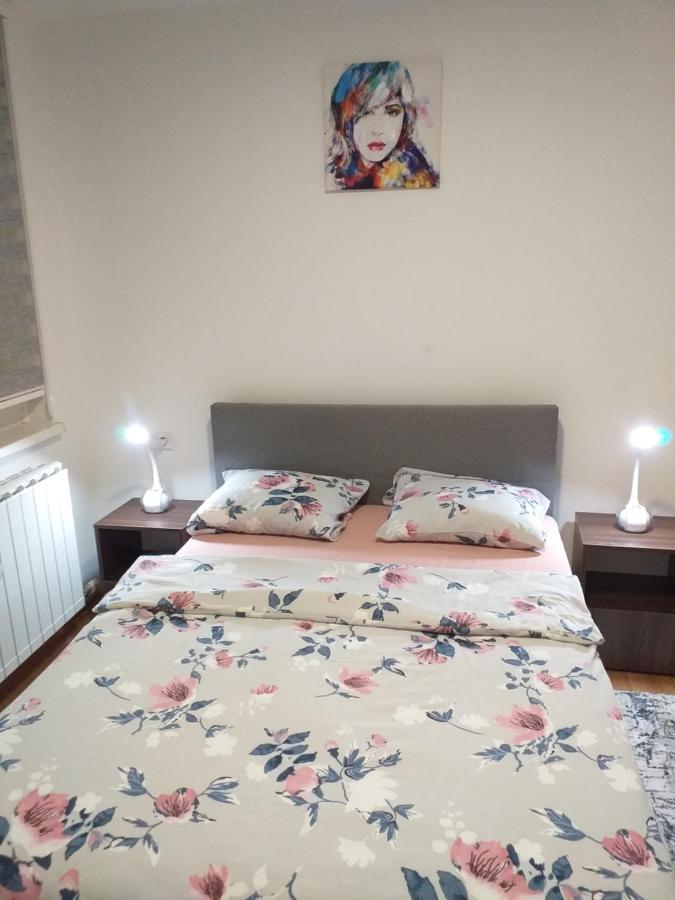 Trosoban Apartman Sarajevo, Ilidza Centar Екстер'єр фото